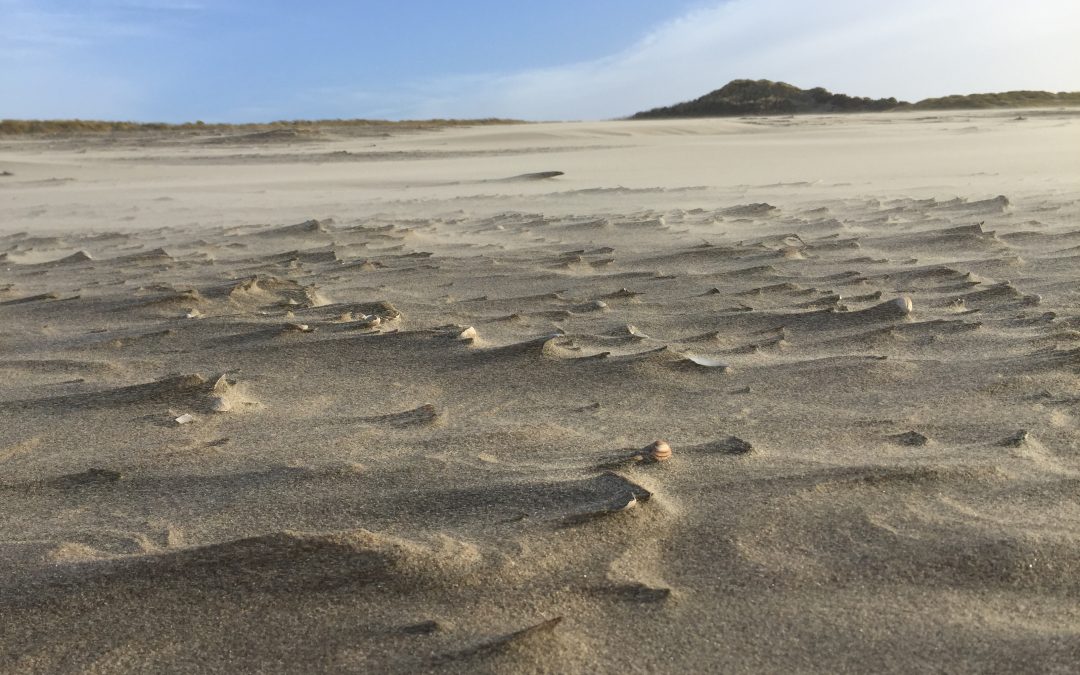 man caught with lots of money at the border