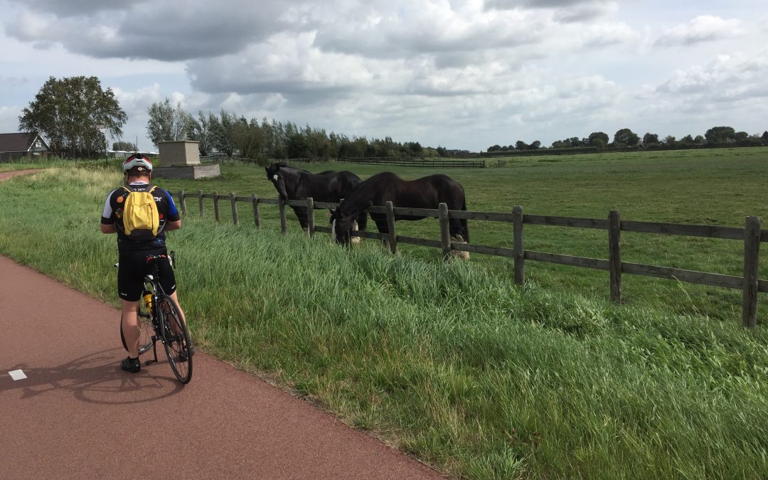 Cycling in the LowerLands